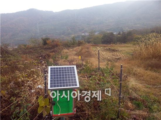 장흥군, 야생동물 피해 방지 총력