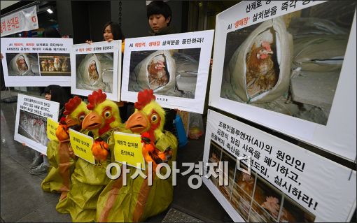 [포토]"'생매장', '살처분'을 즉각 중단하라"