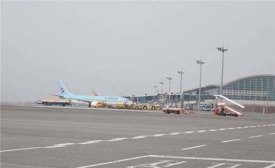 항공업계 "김해공항 확장안 환영…야간운항제한은 폐지해야"