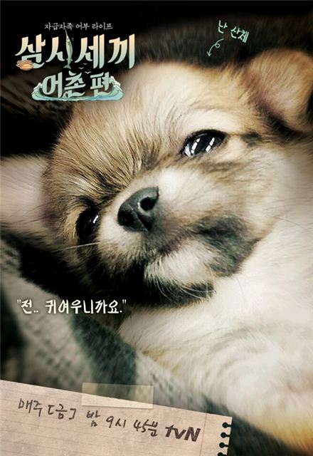 tvN '삼시세끼 어촌편' 산체 공식 포스터 