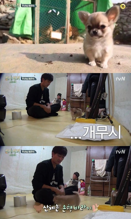 손호준, 산체 /사진=tvN '삼시세끼' 영상 캡쳐