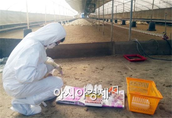 전남축산위생사업소, AI·구제역 차단 휴일도 반납