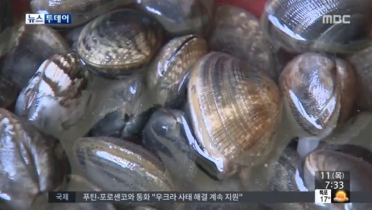 바지락 효능, 다이어트·빈혈에 효과…"지금이 제철"