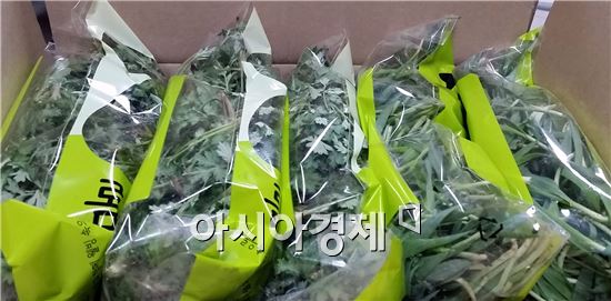 함평천지 봄나물 