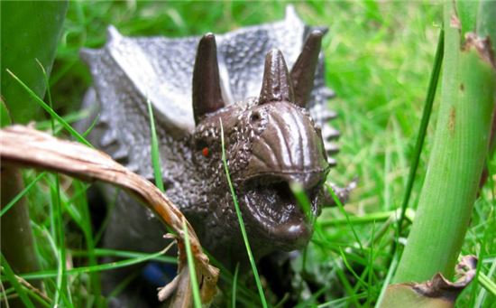 [오아시스]뿔 달린 새로운 공룡 발견되다