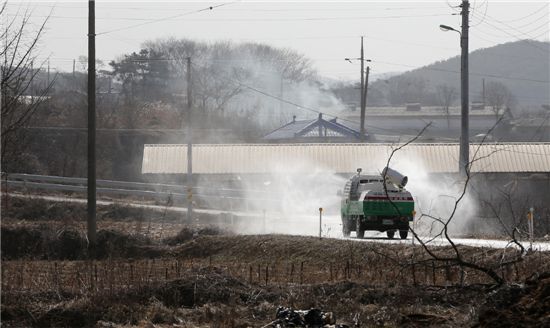 '구제역' 전북 돼지, 다른 시·도로 반출이 금지…도축장 가동시간 늘리기로 