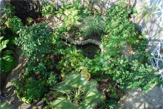 국립수목원 열대식물자원연구센터 전시온실 개방