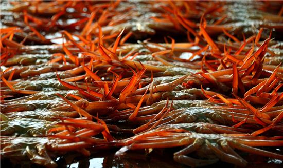 이 게 물올랐소, 얼른 와 맛보시게