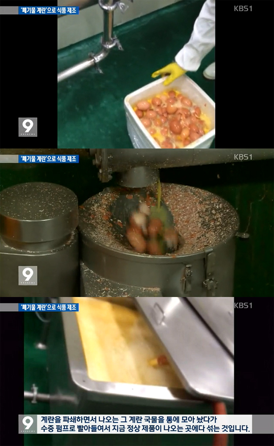 농협 계란가공공장 '폐기물 계란' / 사진=KBS 뉴스 캡쳐 