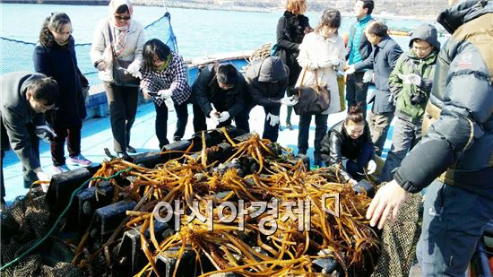 중국 심양사범대학 교수 방문단이 완도군 전복양식장을 찾아서 미역을 먹고 자라는 전복을 관심있게 둘러보고 있다.