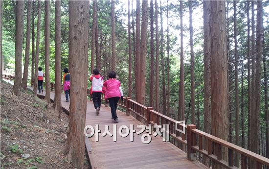 장흥 정남진 우드랜드