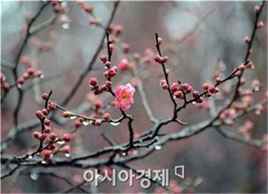 날씨예보, 봄비 그치고 흐린 날씨…주말 비 소식