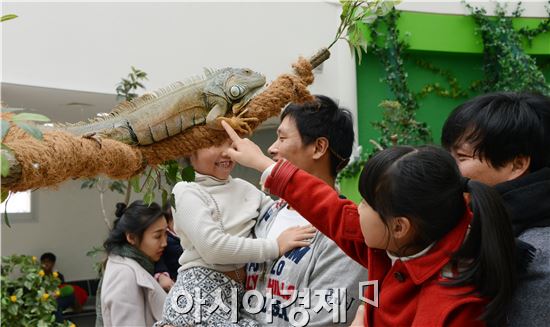 설 연휴 마지막 날인 22일 오후 함평 양서·파충류 생태공원을 찾은 어린이들이 뱀을 만지면서 체험을 하고있다. 노해섭 기자 nogary@
