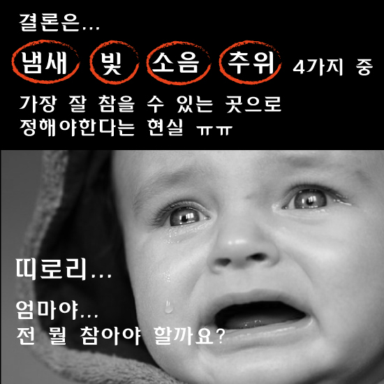 [카드뉴스]새학기 앞둔 대학생들, "완벽한 원룸 찾아요"