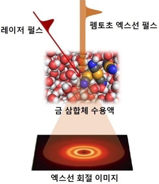 사진= 기초과학연구원 제공