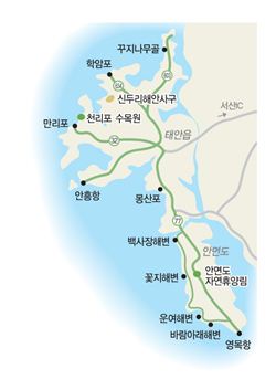 구불구불 태안반도 530km 해안선을 달리다