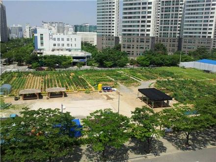 서울시, 도시텃밭 1800개·일자리 700개 조성 추진