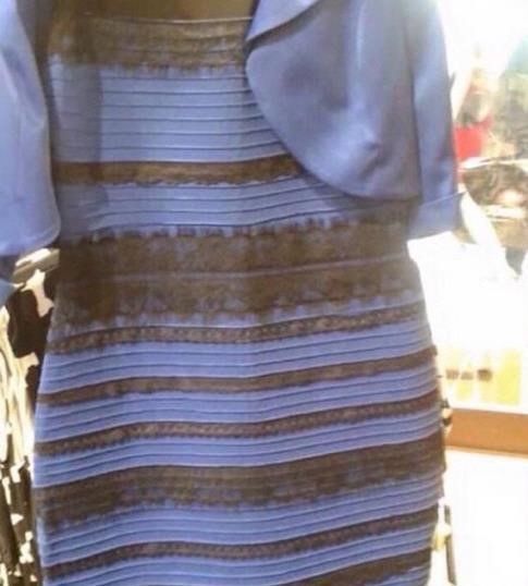 난데없는 드레스 색깔 논쟁 '파검 vs 흰골', 이 드레스는 얼마일까?