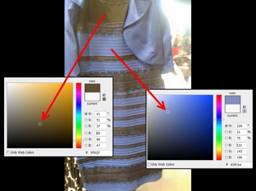 흰·금 vs 파·검 '드레스 색깔 논란'… 다르게 보이는 이유는? '화이트 밸런스' 