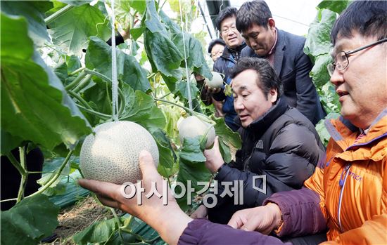 이낙연 전남도지사, 나주 세지 멜론 생산단지 방문