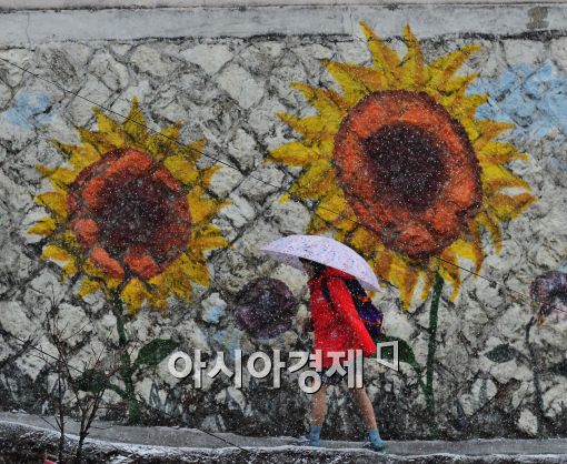 [포토]'봄은 언제 오나?'