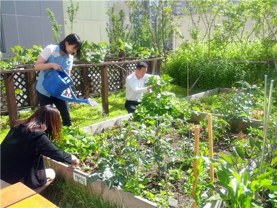 도시 농부 꿈 키워요 