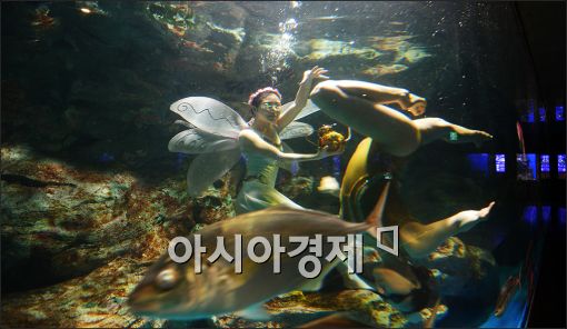 [포토]"새봄에는 수중 싱크로나이즈도 공연 보세요"