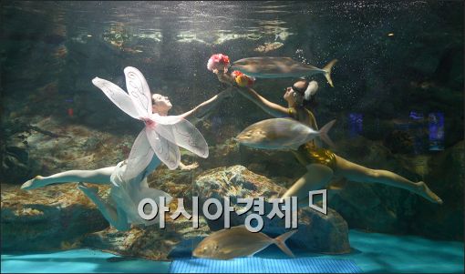 [포토]'봄의 요정과 63램프' 수중 싱크로나이즈드 공연