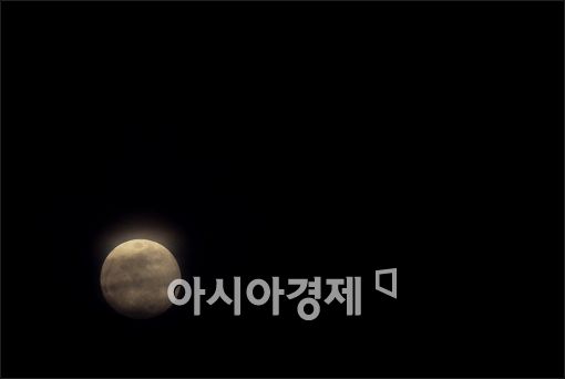[포토]수줍게 고개 내민 '미니 정월대보름'