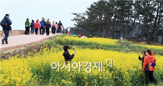 지난해 열린 완도청산도슬로우걷기축제 모습