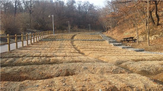 광진구, 광장동·중랑천·아차산 도시텃밭 단돈 2만원 분양 