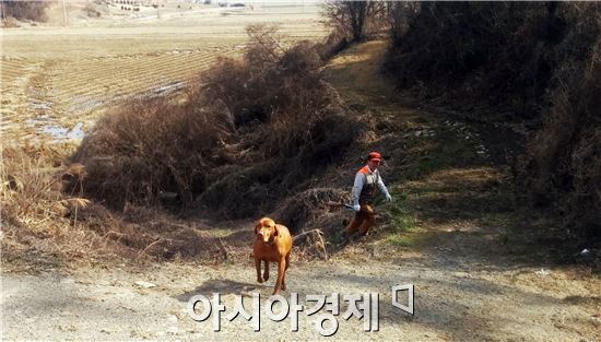 장흥군 수렵장 운영, ‘일석사조’ 효과 거둬