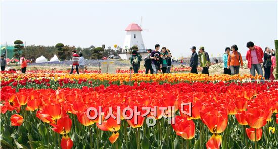 [남도여행]꽃바람타고 남도는 봄꽃 축제향연 중~