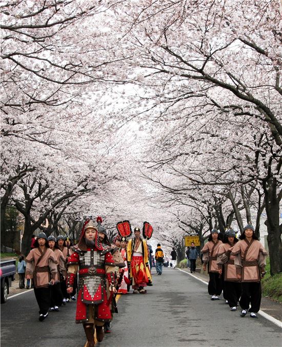 [남도여행]꽃바람타고 남도는 봄꽃 축제향연 중~