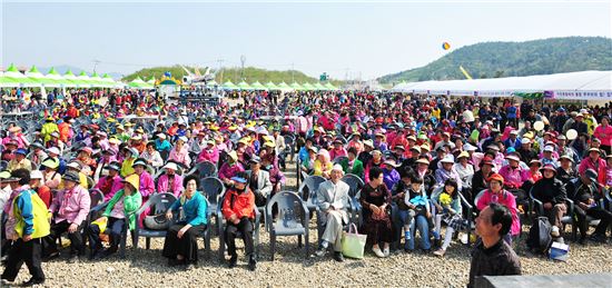 [남도여행]꽃바람타고 남도는 봄꽃 축제향연 중~
