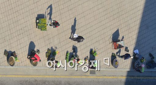 [포토]봄으로 가는 길 