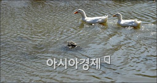 [포토]"봄나들이 나왔습니다"