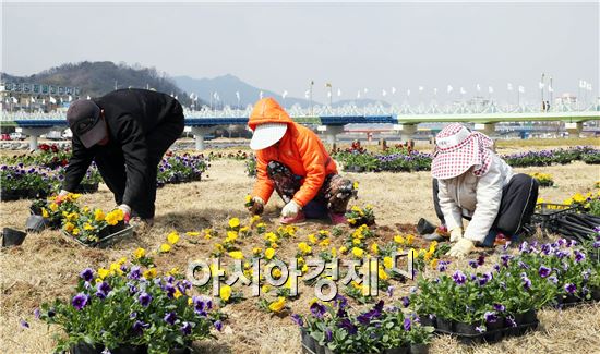 [포토]정남진 장흥 탐진강으로 봄꽃 구경오세요