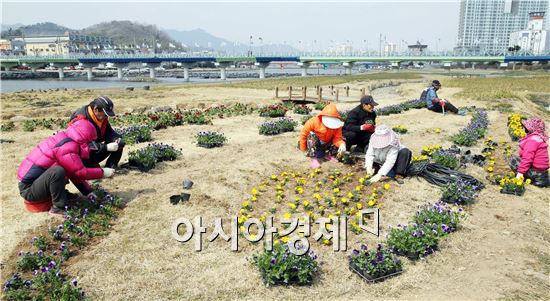 [포토]정남진 장흥 탐진강으로 봄꽃 구경오세요