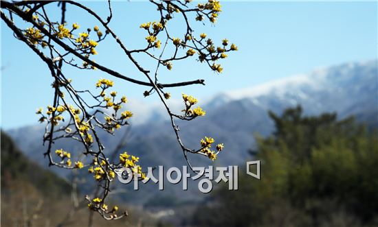 완연한 봄 날씨, 서울 16도까지 올라 '포근'…비는 언제?