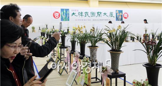 (사)대한민국자생란협회 광주지회가 주관하는 전국 최대 규모의 2015 ‘제33회 대한민국 난대전’이 14일부터 15일까지 광주시 북구 중외공원 내 광주시립민속박물관 기획전시실에서 열렸다.
