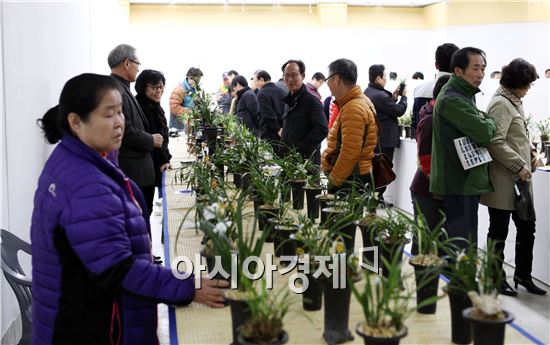 (사)대한민국자생란협회 광주지회가 주관하는 전국 최대 규모의 2015 ‘제33회 대한민국 난대전’이 14일부터 15일까지 광주시 북구 중외공원 내 광주시립민속박물관 기획전시실에서 열렸다. 노해섭 기자 nogary@
