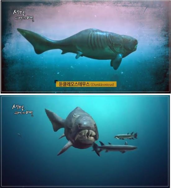 둔클레오스테우스란, 고생대 대표적인 바다 어류 "무는 힘이 무려…"
