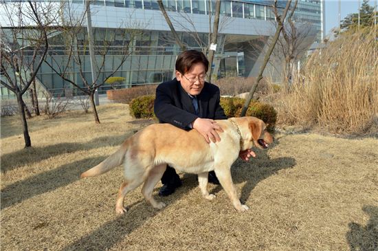 유기견 '행복이' 3개월 교육받고 성남시청으로…