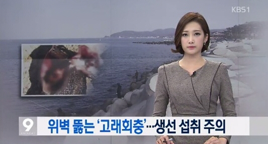 고래회충 급증, '각별한 주의'…"생선회 먹은 후 복통 있으면 의심"