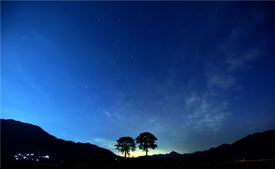 [여행만리]섬진강변 솔숲의 봄…하동은 지금 바람이났다