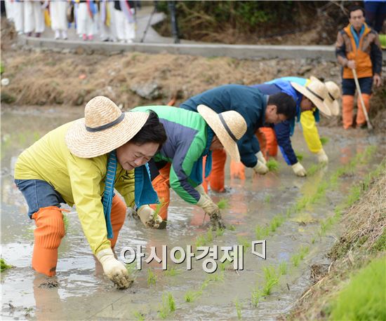 순천시, 벼 조기재배 전국 첫 노지 모내기 행사 가져