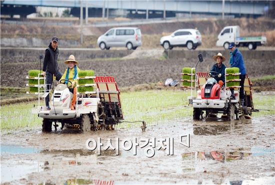 순천시, 벼 조기재배 전국 첫 노지 모내기 행사 가져