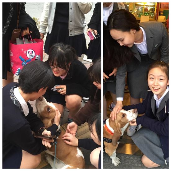 마크 리퍼트 美 대사, 트위터로 근황 전해…'삼계탕 사랑' 여전