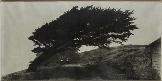 이정진 作, '바람 07-73', 2007년